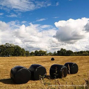 Película de agricultura soplada Film for Grass Package